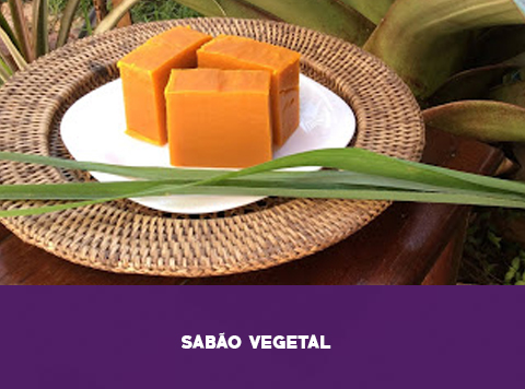 RAGG - Terapias Intergradas